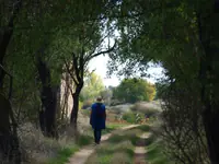 Ruta de senderismo por zona tranquila de Soria