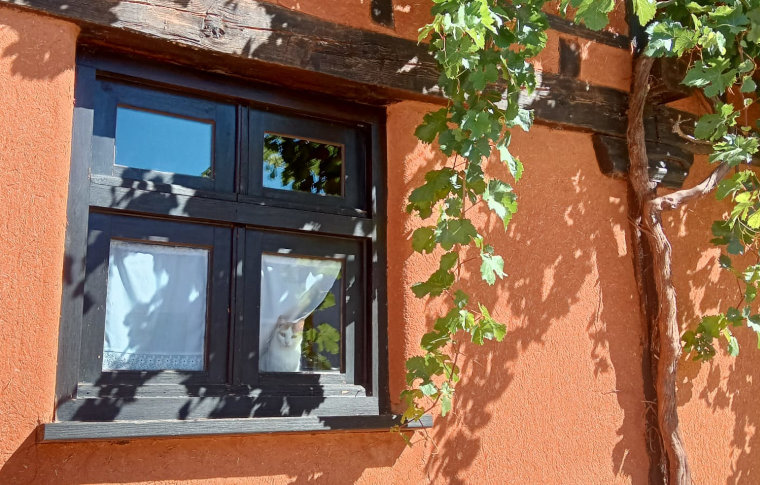 rural hotel, rio lobos canyon